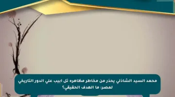 محمد السيد الشاذلي يحذر من مخاطر مظاهرة تل أبيب على الدور التاريخي لمصر: ما الهدف الحقيقي؟
